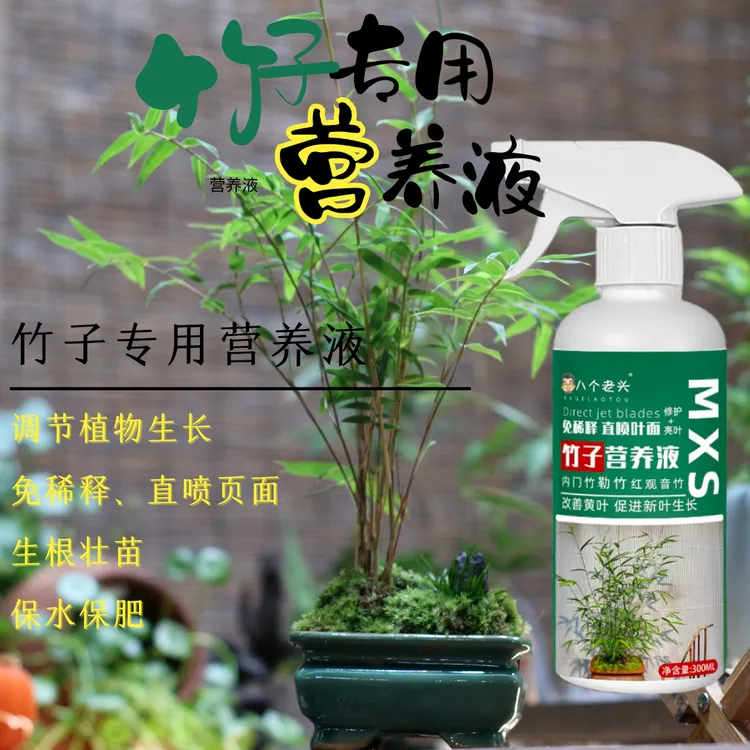 升级版竹子营养液免稀释直喷叶片改善绿植黄叶通用高效护理