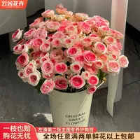 【云舍花卉】【午夜魔法】多头玫瑰 全场鲜花任意满两单及以上包邮