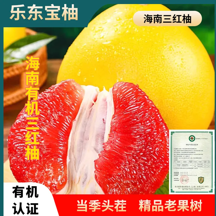 【有机三红柚】海南红心蜜柚3个/6个装当季新鲜孕妇水果红肉柚子