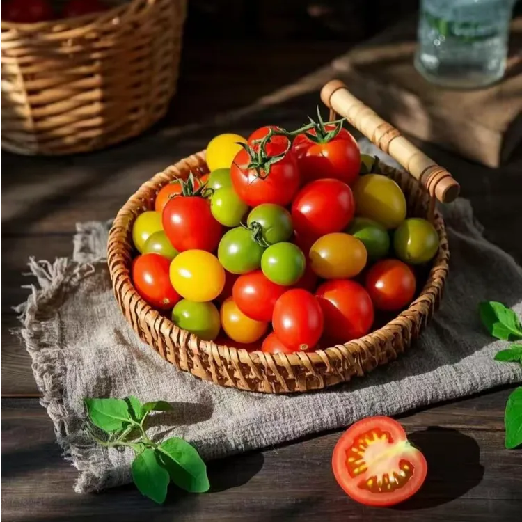 [现摘现发]维C小炸弹三色小番茄酸甜爆汁圣女果