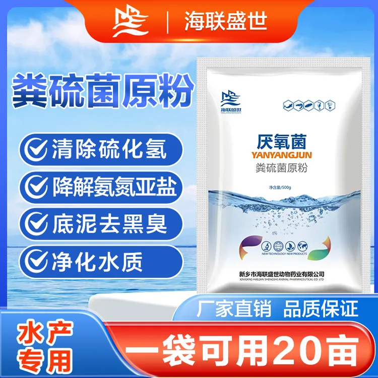 海联粪硫菌原粉水产养殖分解有机质硫化氢除臭粪硫菌原粉改底稳水