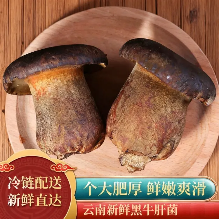 云南新鲜黑牛肝菌冷链空运包邮菌菇可用于炒菜生鲜农副产品云南