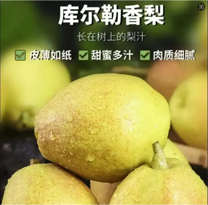 新疆香梨库尔勒香梨果型饱满母梨皮薄脆甜爆汁现摘现发库尔勒直发