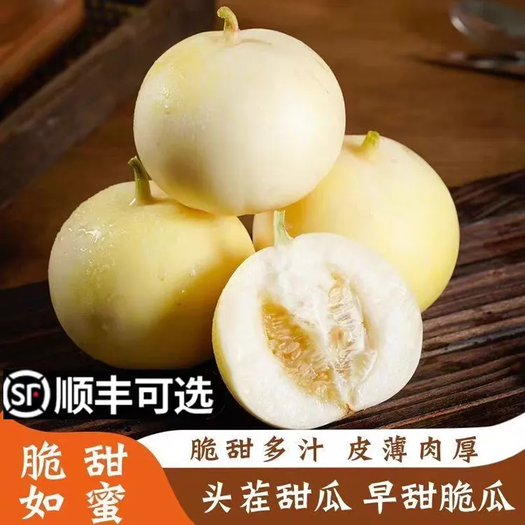 【顺丰包邮】山东产地直发小蜜蜂甜瓜自然成熟脆甜脆爽当季新鲜水果
