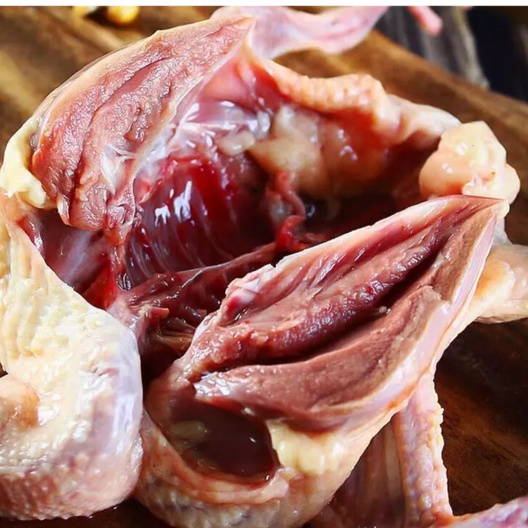 散养农家土鸽鸽子乳鸽现抓现杀营养新鲜顺丰包邮鸽子肉新鲜鸽子肉