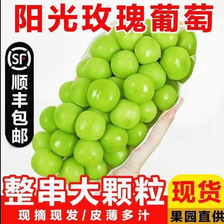 【顺丰冷链】正宗阳光玫瑰葡萄新鲜采摘应季水果脆甜特大号无籽