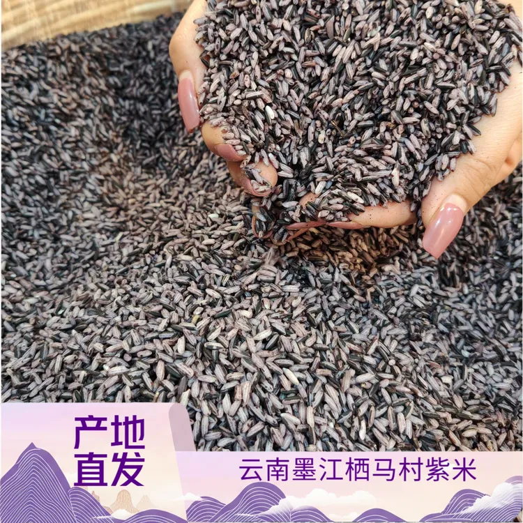 云南墨江紫糯米（墨江栖马村种植）