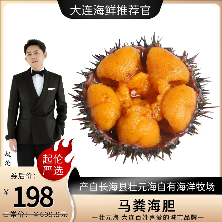 【起伦专属】大连马粪海胆10-12只/斤 产自壮元海自有海洋牧场