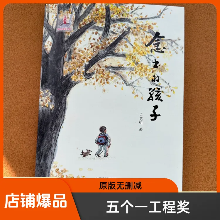 海燕出版社感人至深留守儿童的故事念书的孩子儿童文学课外阅读