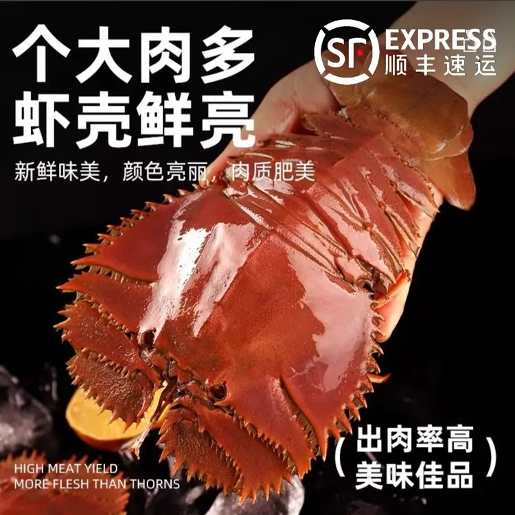 现场直播【产季优惠】码头现发 琵琶虾 九齿扇虾 龙虾 鲜活冻 海鲜 生鲜海虾