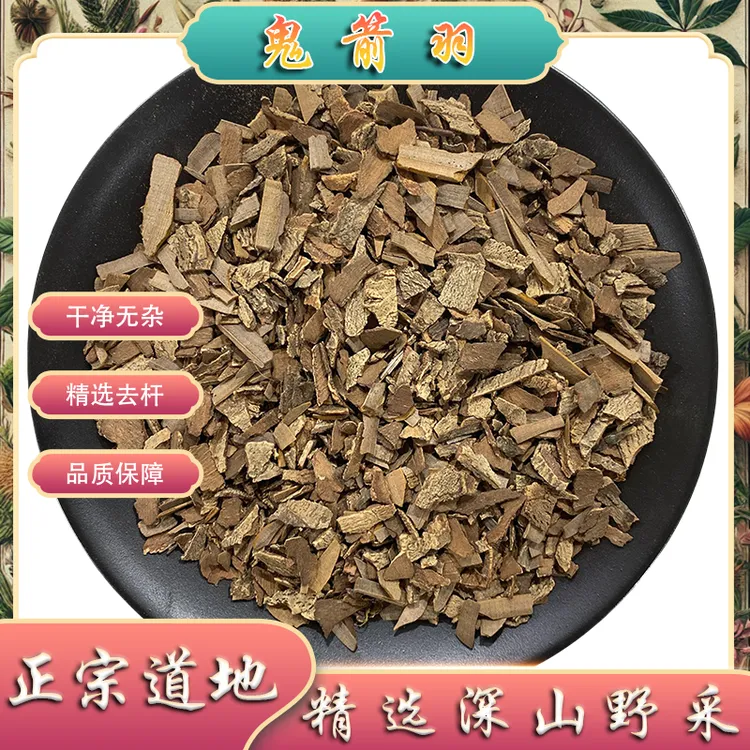 鬼箭羽中药材正品深山野采卫矛新鲜干货去杆鬼剑雨鬼见羽另有丹参