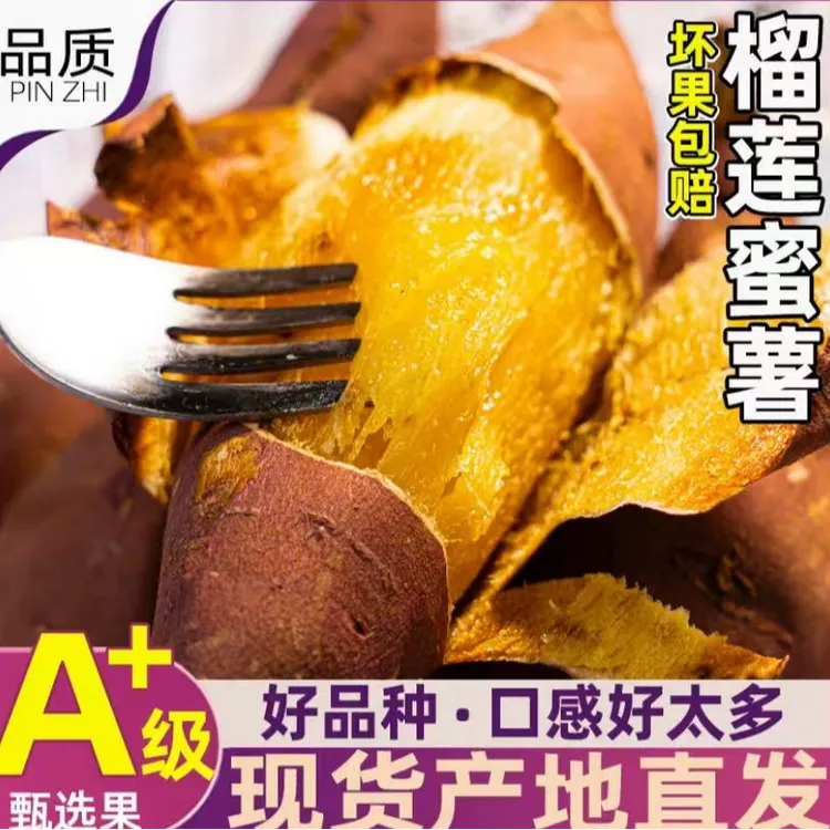云南榴莲蜜薯新鲜香甜现挖现发