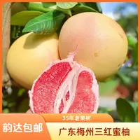 《韵达包邮》金秋佳果35年老树正宗广东梅州三红蜜柚皮薄肉厚红心柚