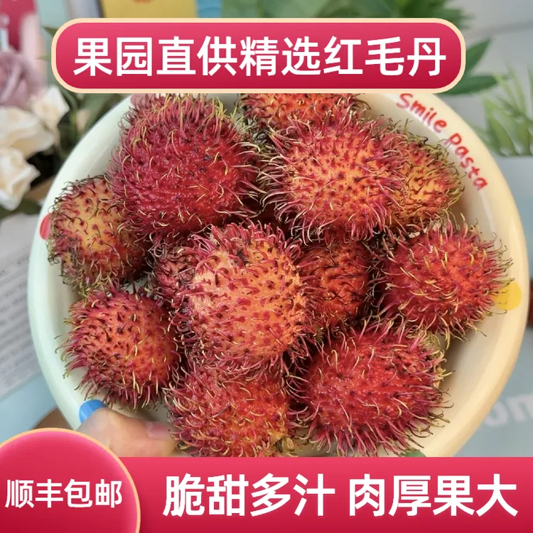 红毛丹1-5斤大果果园直供爆甜多汁现摘现发当季新鲜红毛丹水果