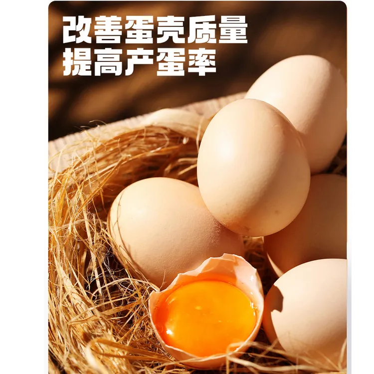 禽类蛋多多产蛋王增蛋鸡鸭鹅不下蛋催蛋素增加产蛋量增蛋鸡禽专用