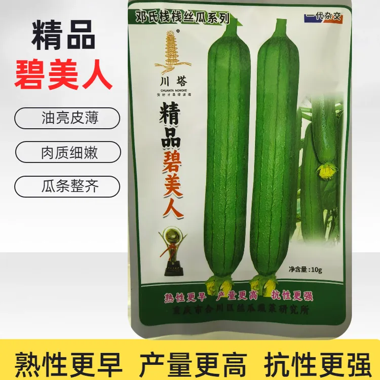 丝瓜精品碧美人丝瓜种子早熟皮薄油亮口感略甜产量高商品性佳丝瓜