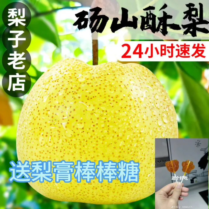 （邮政助农）古树砀山酥梨新鲜现摘应季薄皮多汁百年老树净9斤箱