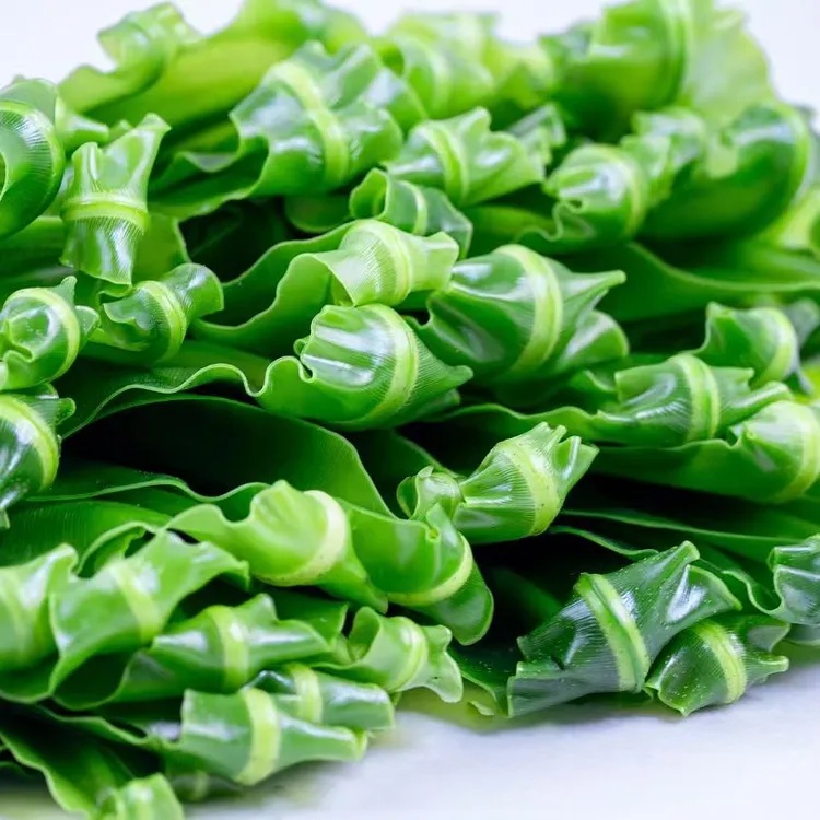 台湾山苏（可食用嫩叶）