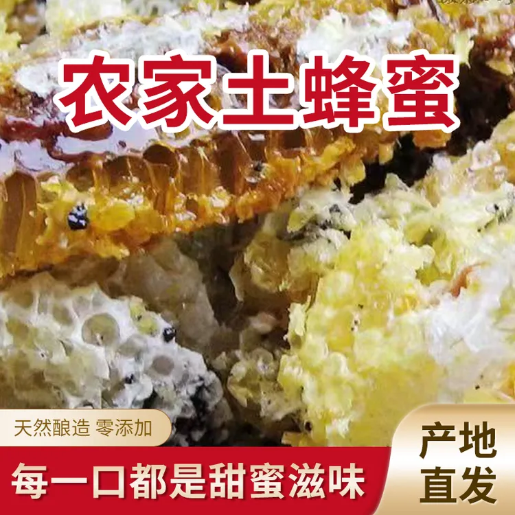 农村土蜂蜜无添加美味营养健康500g装农家直销纯天然