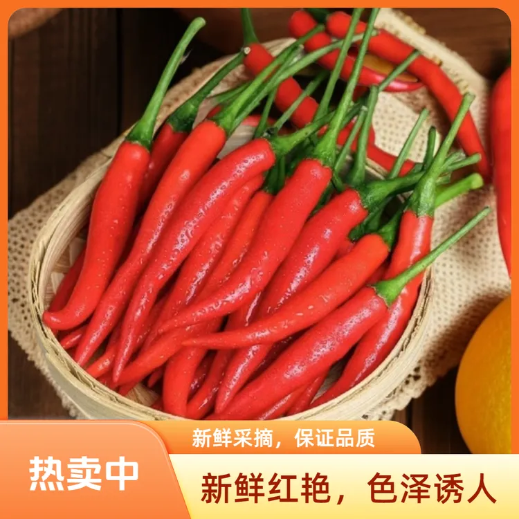 新鲜采摘开封小米椒