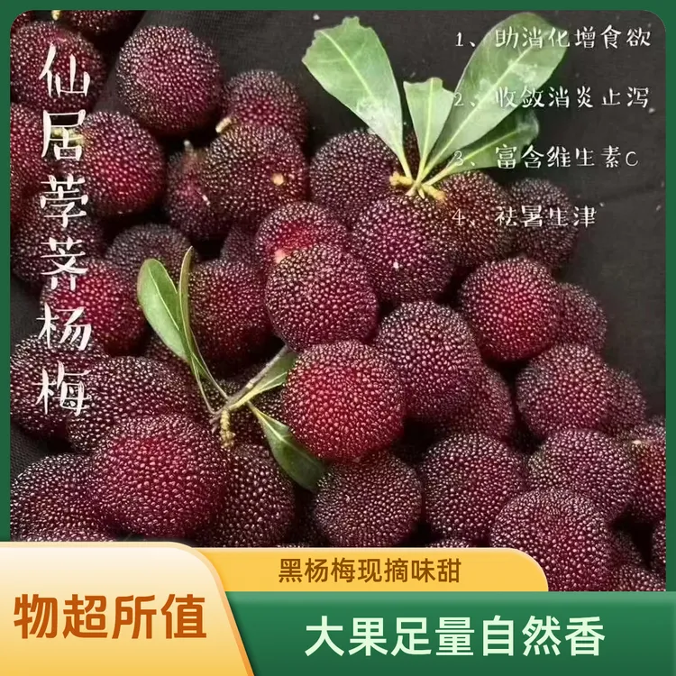 黑杨梅当季新鲜水果特大现摘先发大果自然饱满