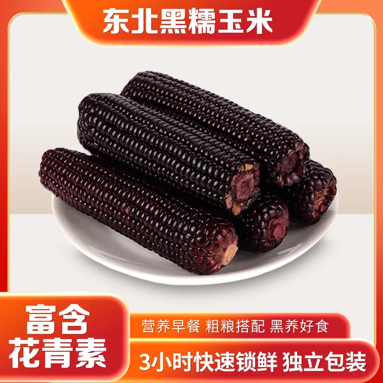正宗东北大米黑糯玉米单根240g满满花青素2024年非转基因黑玉米棒