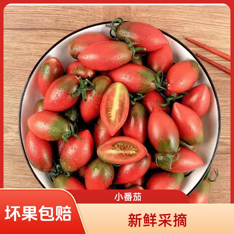 产地直发番茄紫弹头小番茄黄色圣女果新鲜樱桃西红柿孕妇水果蔬菜酸甜多汁柿子