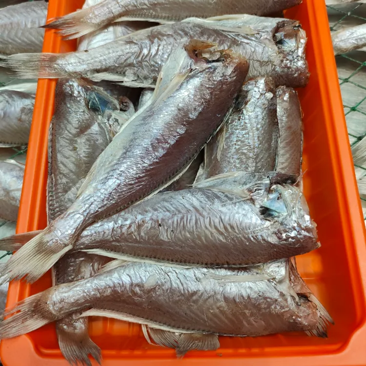 白梅鱼干自家晒起纯手工石塘特产家乡味道