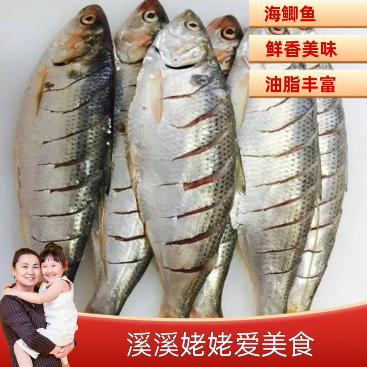 海鲫鱼 四斤 渤海湾特产