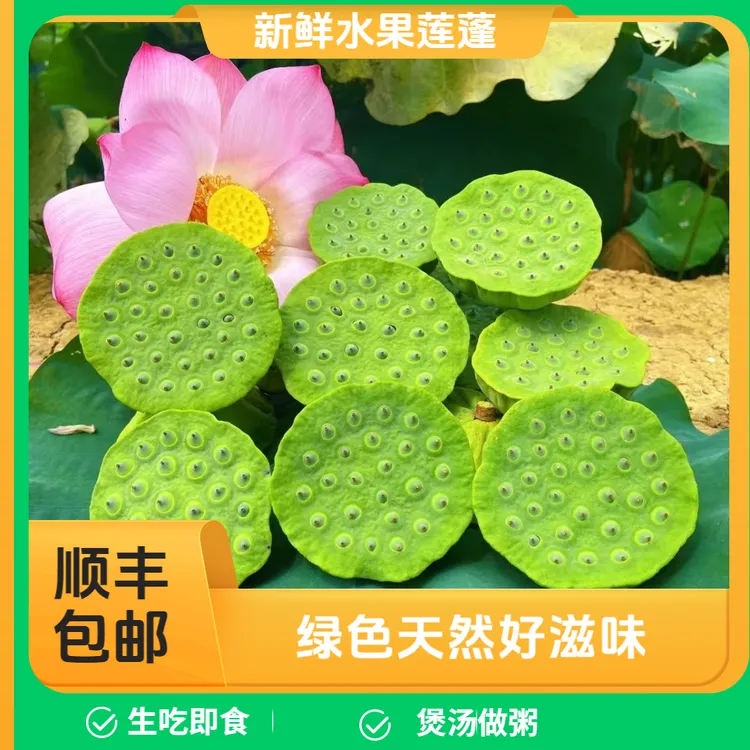 新鲜莲蓬当季水果清甜爽口可即食现摘现发孕妇小孩可生吃天然绿色