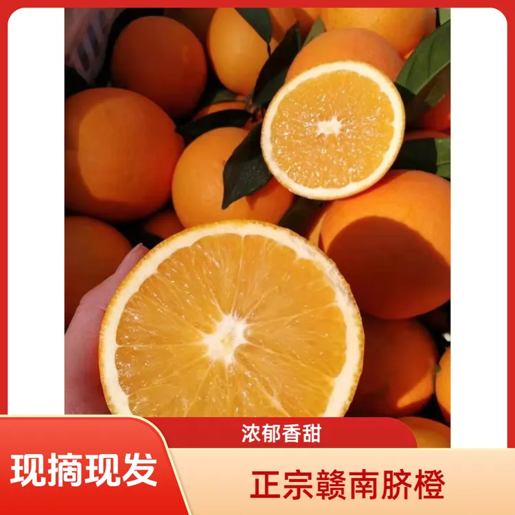 赣南脐橙正宗赣南脐橙现摘现发下单送两颗红肉血橙 京东包邮