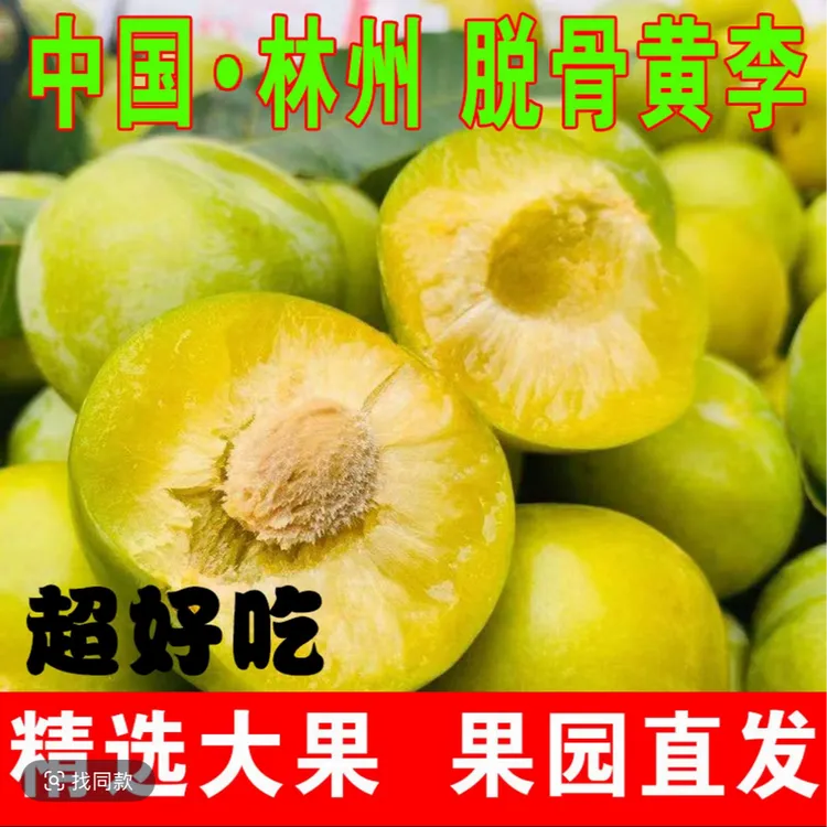 林州果园现摘林州正宗脱骨青脆黄李新鲜当季酸甜可口水果