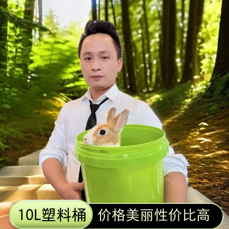 10L圆桶家用塑料桶加厚手提耐摔水桶带盖装饰垃圾桶女孩卧室专用
