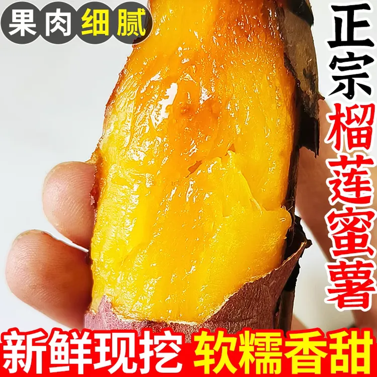 正宗黄金榴莲蜜薯黄心红薯新鲜农家番薯丝滑山芋流蜜店沙地龙九