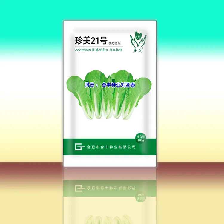 珍美21号杂交品种耐热抗病高产蔬菜大棚和小菜园速生奶油快菜种子