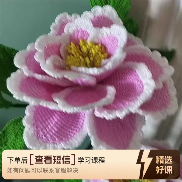 多种花叶分享给你（留意短信解锁课程）