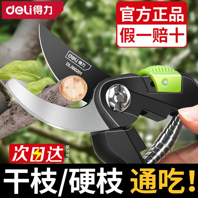 得力剪枝剪刀园林花艺修剪树枝剪刀果树剪刀粗大花剪园艺剪子工具