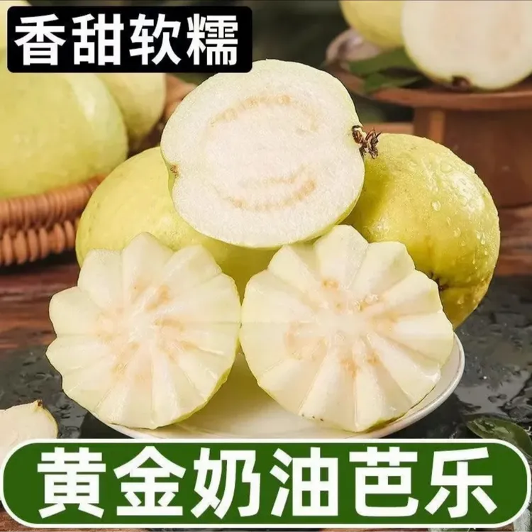 【顺丰包邮】广西新鲜现摘白心奶油芭乐孕妇脆爽清甜低糖健康美味