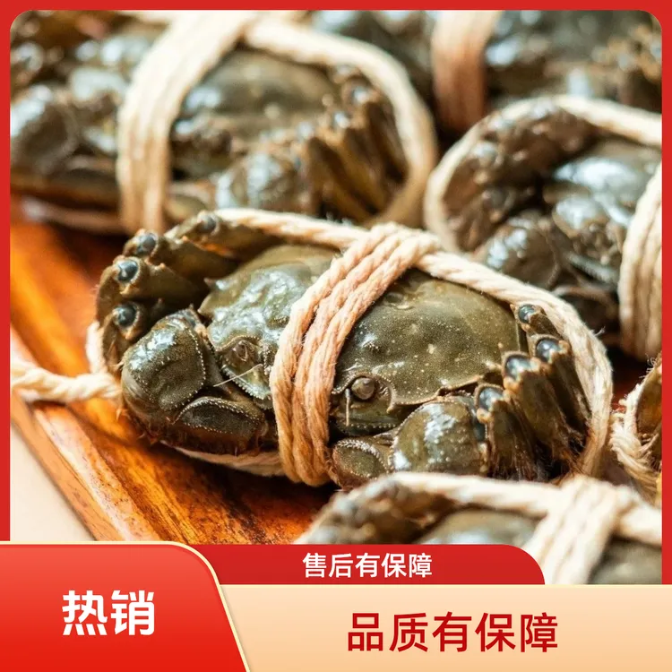 【活蟹】洪泽湖大闸蟹规格（3.1-2.8两）全母蟹8只装礼盒  京东到家