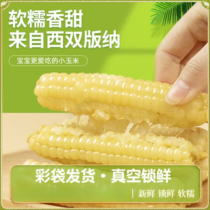 云南西双版纳拇指小玉米新鲜软香甜白色手指糯玉米低脂早餐代餐