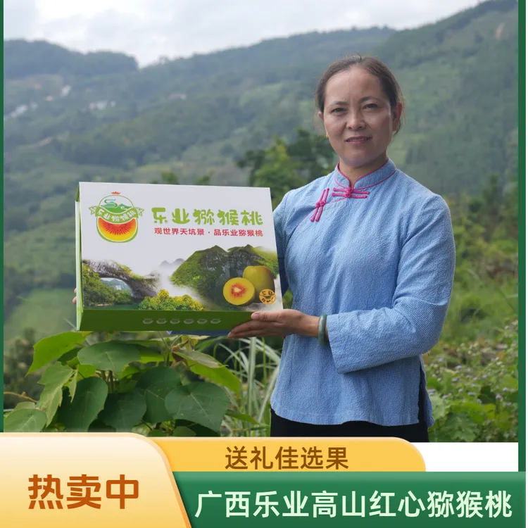 广西乐业红心猕猴桃新鲜当季香甜可口精品礼盒包装