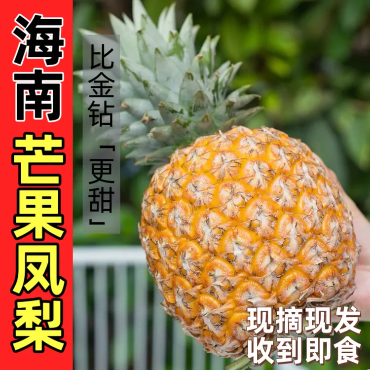 【芒果凤梨】台农23号海南芒果凤梨香甜多汁热带水果树上熟彩箱礼盒