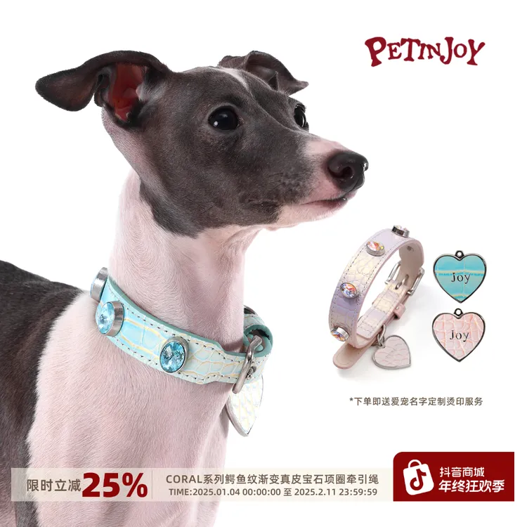 宠享趣Petinjoy Coral系列鳄鱼纹真皮宝石项圈牵引绳大中小型犬猫