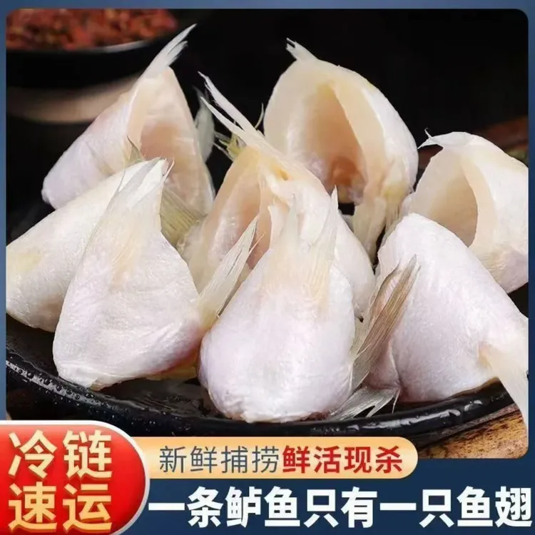 【顺丰】新鲜现切鱼翅 鲈鱼翅  肉质鲜美无刺无鳞 鲜嫩美味海鲜生鲜