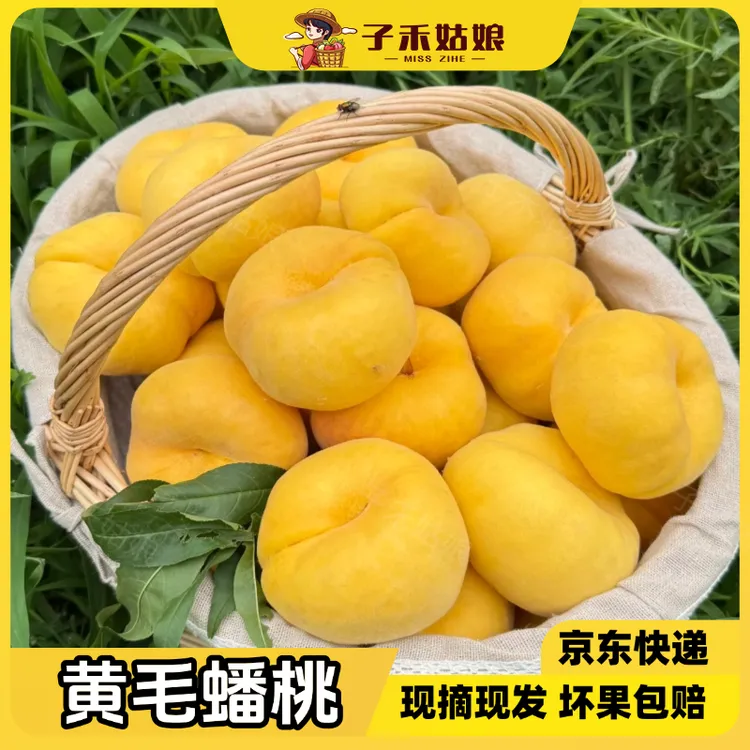 沂蒙山黄金毛蟠桃蒙阴毛蟠桃新鲜现摘水果应季3斤/4斤