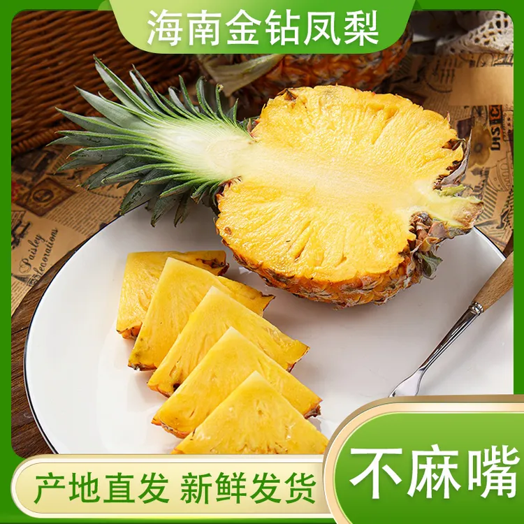 海南金钻凤梨树上熟新鲜水果凤梨非菠萝清甜爽口可手撕不色口