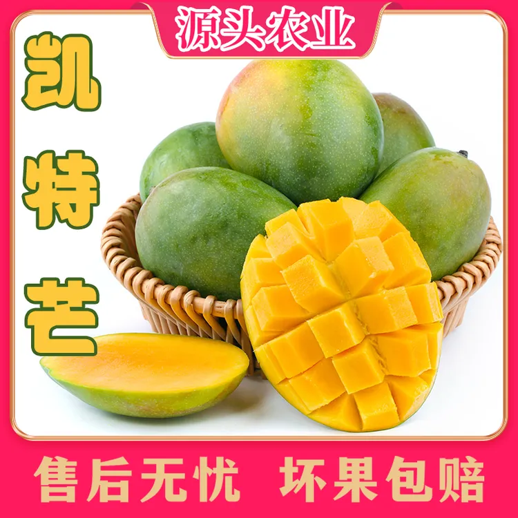 【凯特芒】四川芒果大青芒新鲜当季水果8.5斤装 S