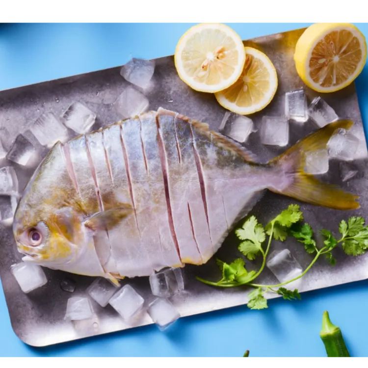 冷冻拉花金鲳鱼去内脏400g左右火锅烧烤家庭聚餐快手食材3条装