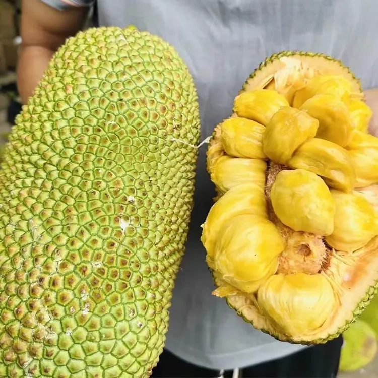 【熟了再食用】海南正宗榴莲蜜红黄肉软糯湿苞香甜当季热带新鲜水果商品图