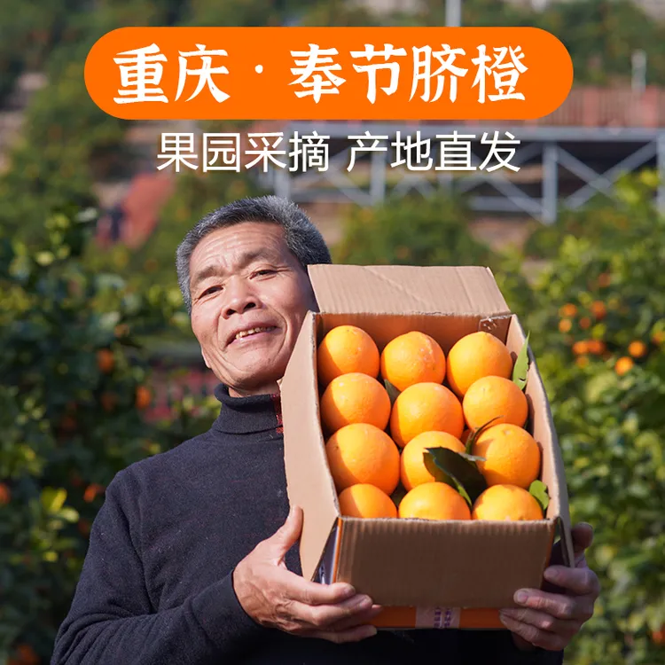 【谭三炮专属】奉节脐橙果肉细腻香甜多汁新鲜采摘5斤10斤包邮到家
